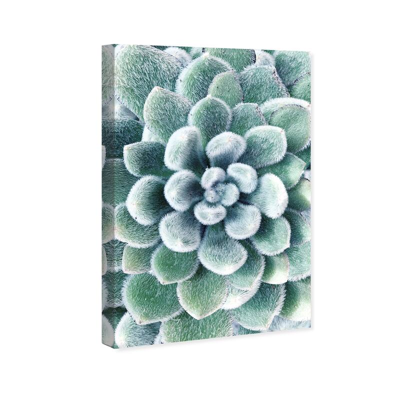 Wynwood Studio Canvas Floral and Botanical Succulent Zoom III Green and Tropical Wall Art Canvas Print