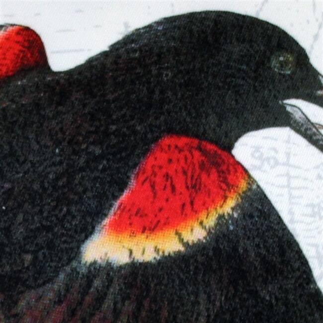 Winged Bird 18x18 Throw Pillow with Polyfill Insert