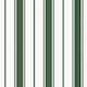 Option Green/White