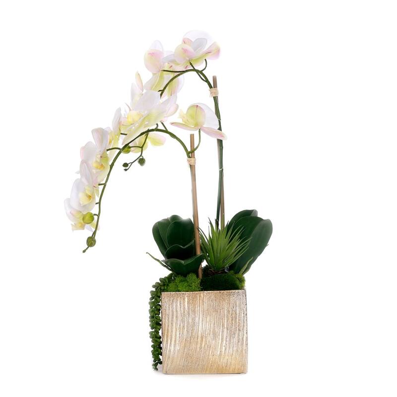 Real Touch Orchid Flower Arrangement in Cube Nickel Pot - White