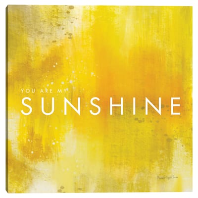 Sunshine by Mercedes Lopez Charro Canvas Art Print