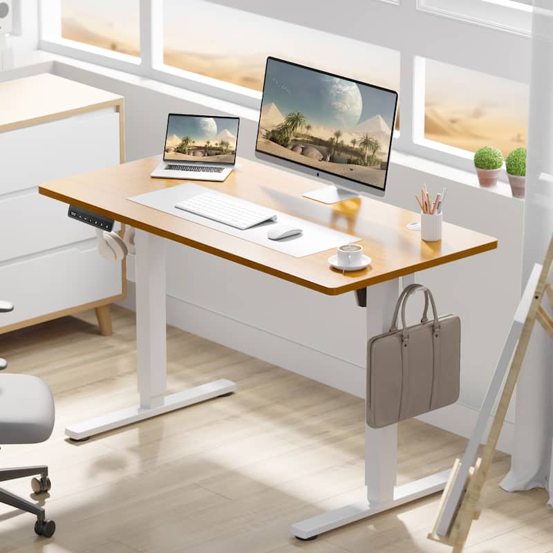 Electric Standing Desk - Adjustable Height Computer Workstation with Memory Settings for Home Office, Gaming & Study - 48"x 24" - Oak