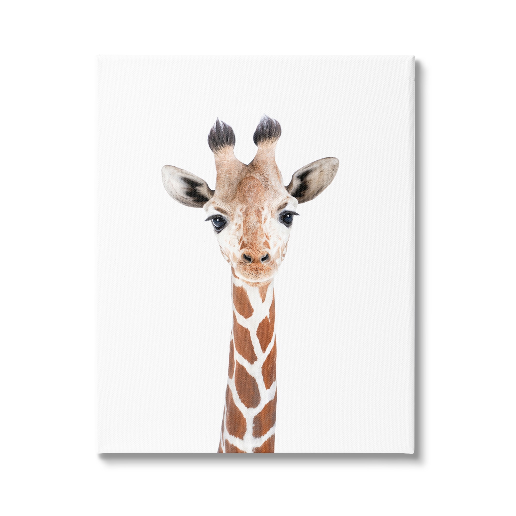 Stupell Giraffe on White Portrait Canvas Wall Art Design by Sisi and Seb