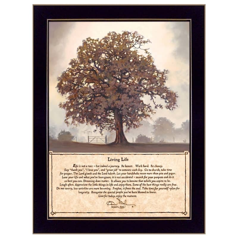 TrendyDecor4U Contemporary "Living Life" Framed Print Wall Art by Bonnie Mohr