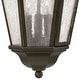 preview thumbnail 4 of 5, Hinkley Lighting 3 Light Outdoor Small Pendant from the Edgewater