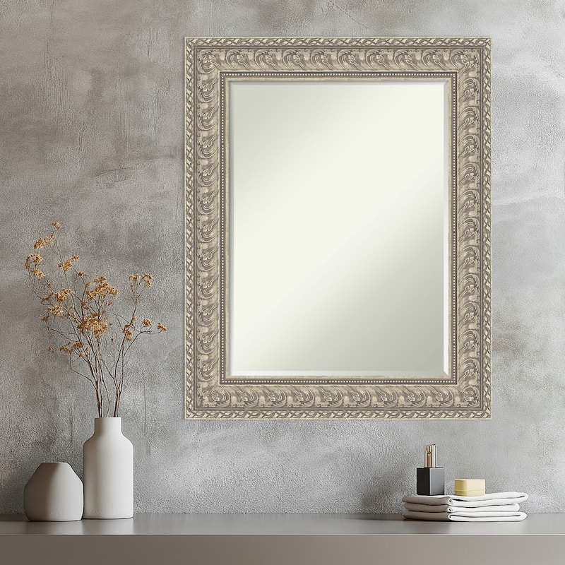 Sydney Half-Inch-Bevel Framed Wall Mirror - Sydney Silver - 25 x 31 in