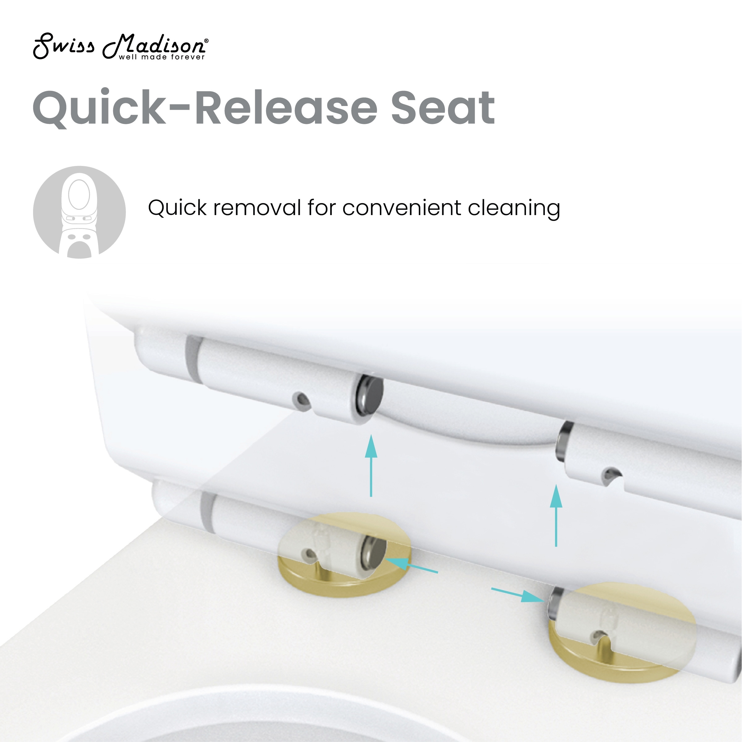 Dieppe One Piece Toilet Dual Vortex Flush, Brushed Gold Hardware