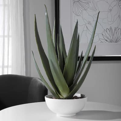 Uttermost Evarado 30" X 17" Contemporary Aloe Vera Artificial Plant