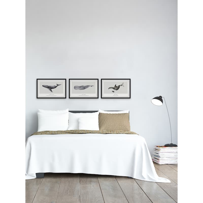 Sperm and Killer Whale Triptych - Bed Bath & Beyond - 36273130