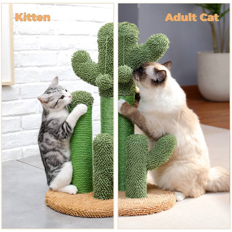 Oasis Series Lovely Cactus Cat Scratcher