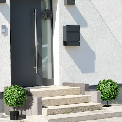 Set of 2 Artificial Ball-Shaped Boxwood Plants with Decorative Fruit Green White Black for Home Office Outdoor 20.75 Inch