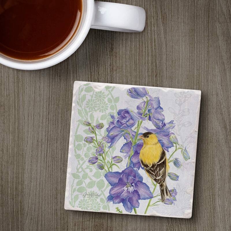 Absorbent Stone Beverage Coasters - Set of 4 - Delphinium Birdhouse - Multi-147