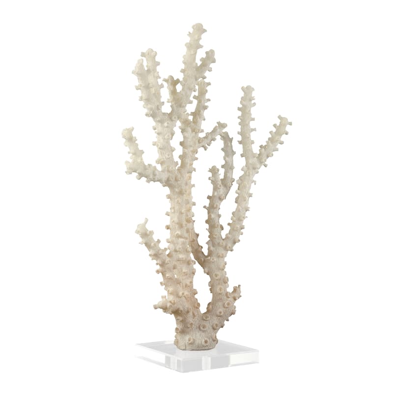 Cream Polystone Coral Sculpture with Clear Acrylic Base