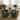 Upholstered Dining Chairs, Modern Kitchen Chairs Dinner Chairs with 4 Casters