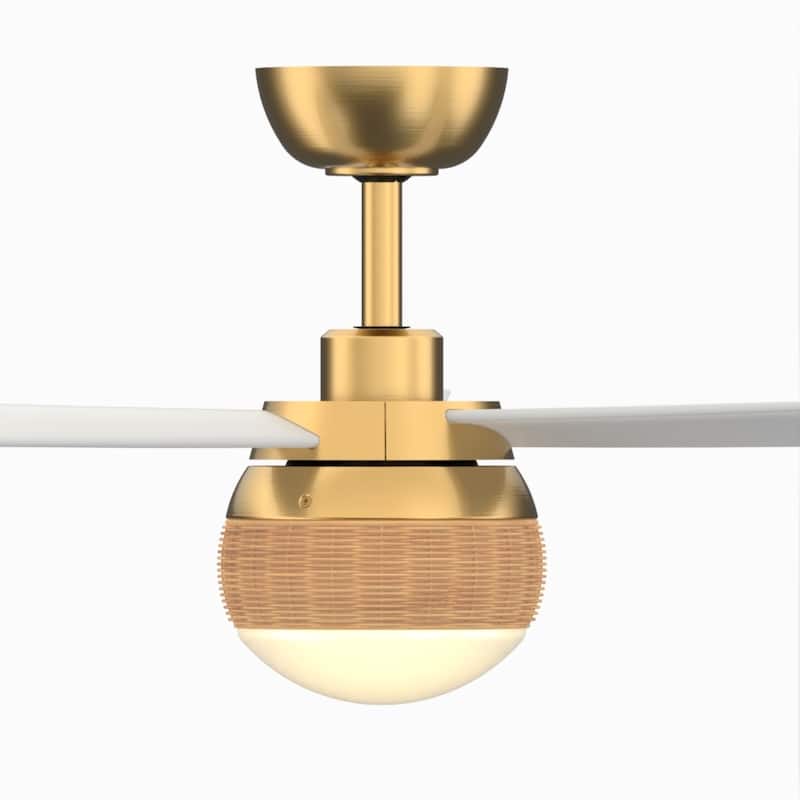 Paget 52 inch Indoor/Outdoor Ceiling Fan LED Light Kit