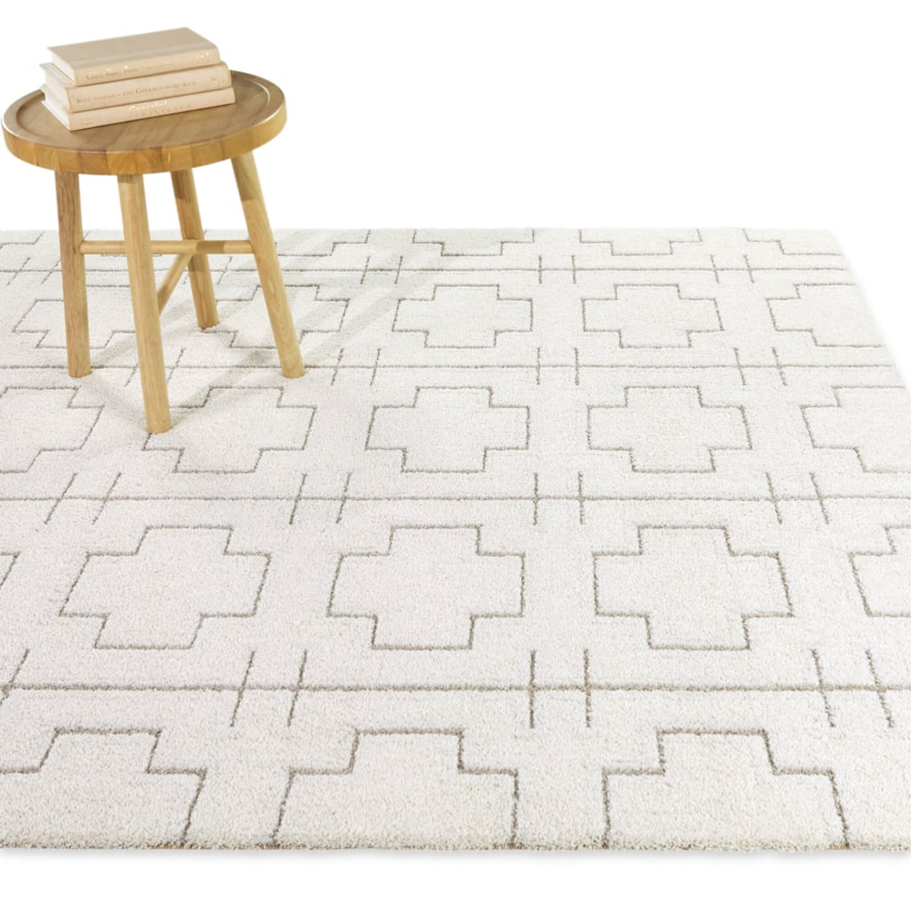 Sumner Transitional Geometric Area Rug