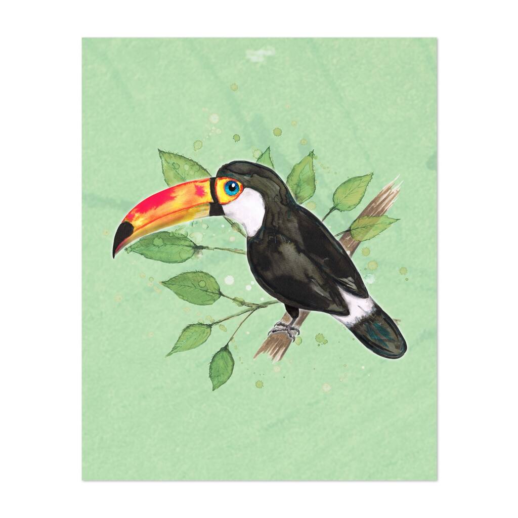 Toco toucan Illustrations Animals Birds Toucan Art Print/Poster