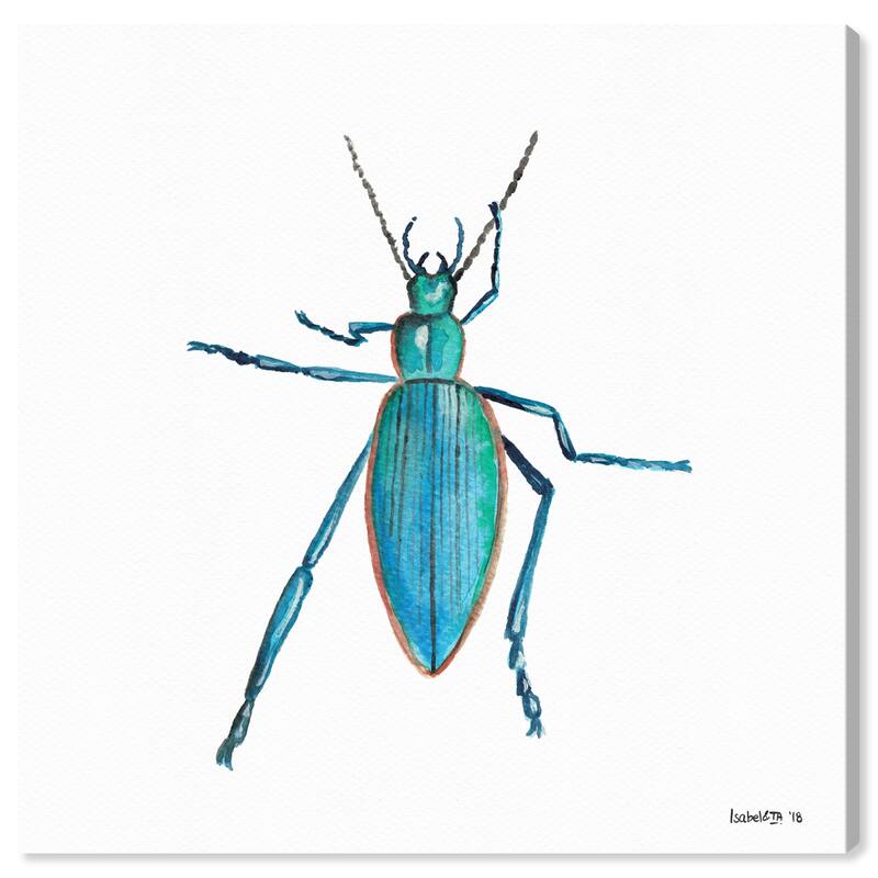 Wynwood Studio Canvas Animals Turquoise Bug Blue and Turquoise Rustic Wall Art Canvas Print