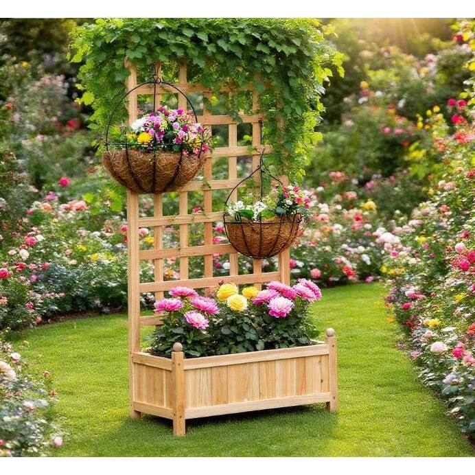 Outdoor Raised Planter Box with Trellis and Drainage for Healthy Plant