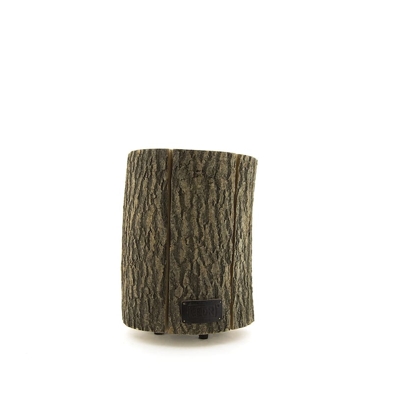 Wood Light - Ash Wood M-ST - Small