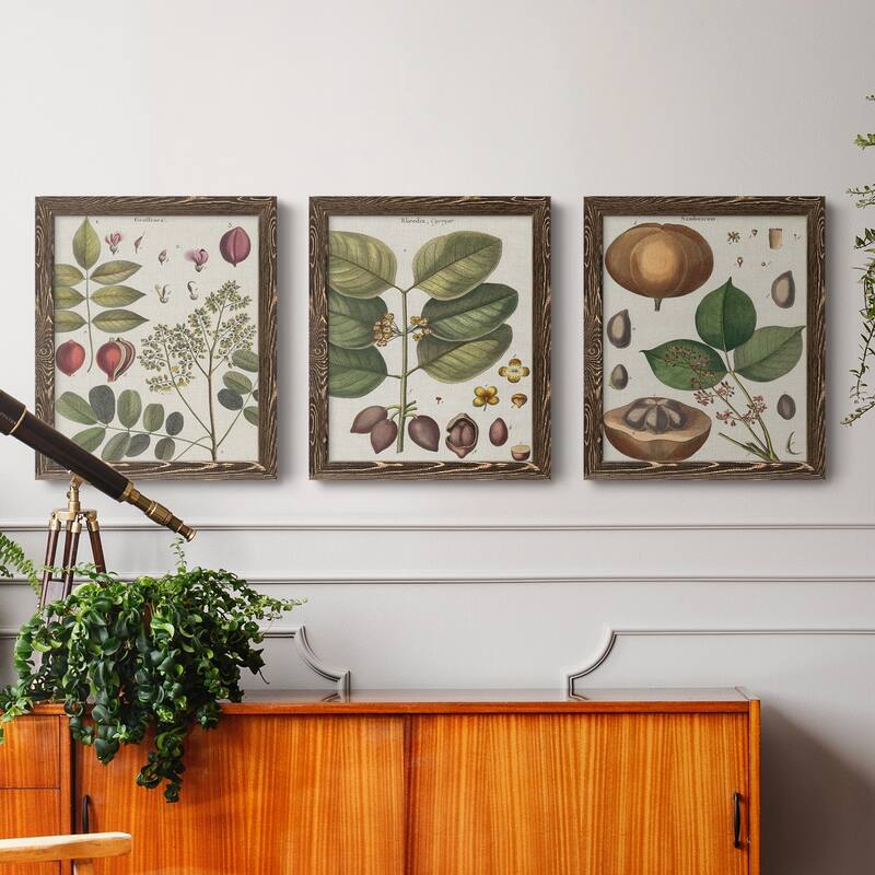 Exotic Botanique I-Premium Framed Canvas - Ready to Hang - Multi-Color ...