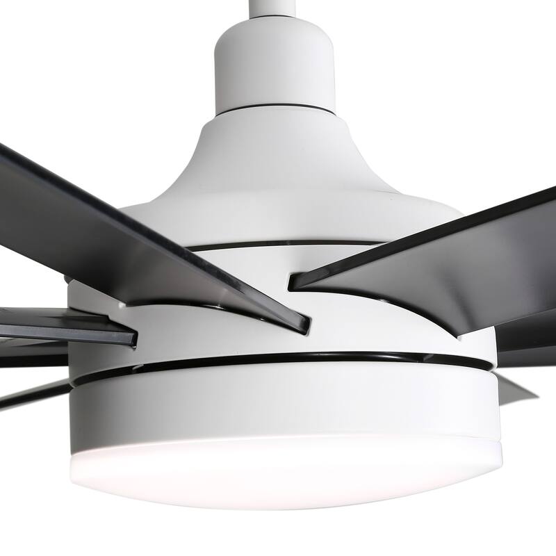 65 Inch LED Black and White Ceiling Fan with Light Remote- 8 Blade