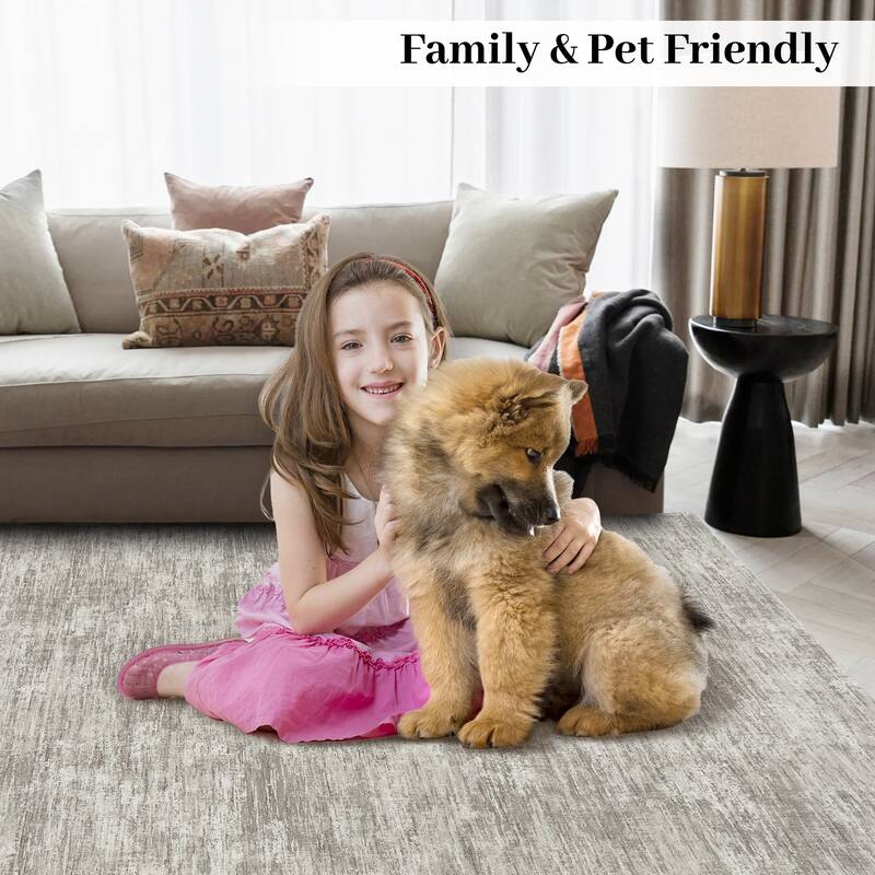 Rugs for Living Room Modern Abstract Area Rug Non-Slip Low Pile Accent Rug Soft Foldable Solid Rug