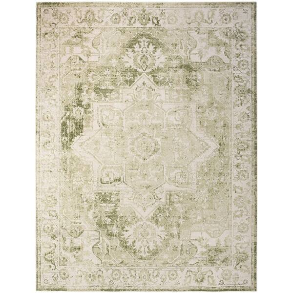 Nourison Astra Machine Washable Distressed Area Rug