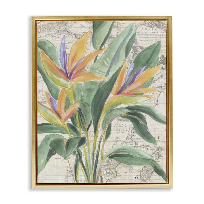 Stupell Bird of Paradise over Map Framed Floater Canvas Wall Art Design By June Erica Vess - 17 x 21 - Gold