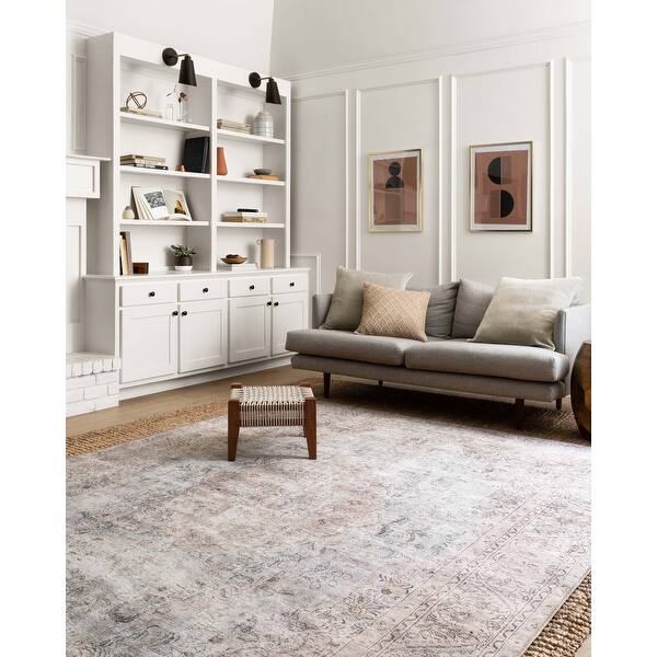 Shop Alexander Home Tremezzina Printed Medallion Shabby Chic