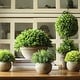 preview thumbnail 1 of 6, RusticReach Artificial Boxwood Topiary in Various Designs