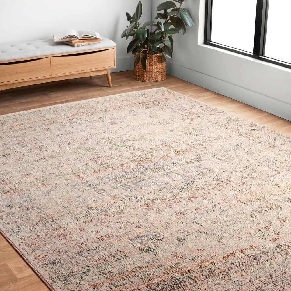 Alexander Home Leah Vintage Shabby Chic Area Rug