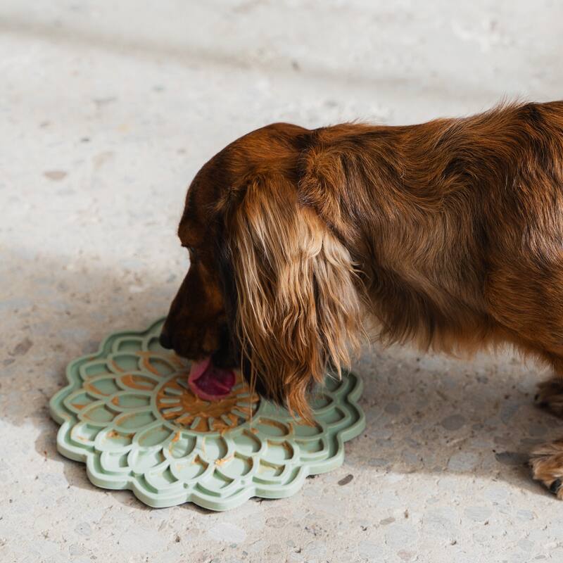 Dexypaws: Enrichment Lick Mat: Sage Green Blooming Blossom - Grooved Silicone - Sage Green