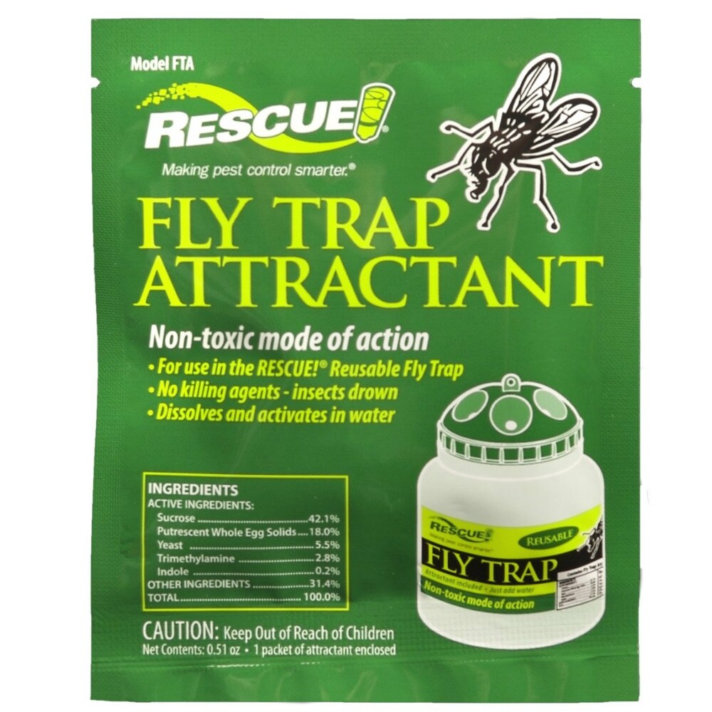 blow fly trap