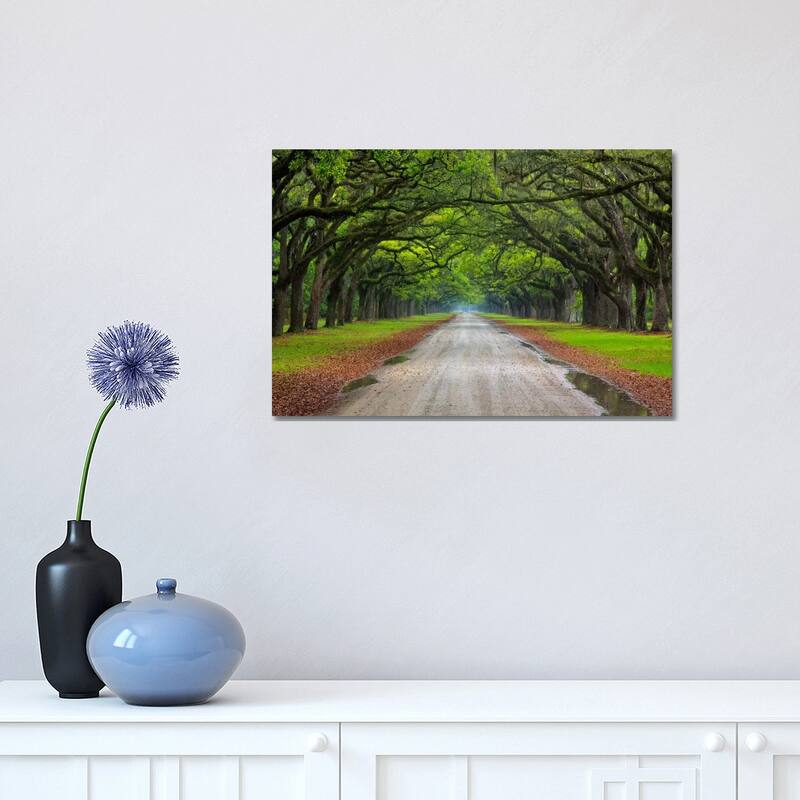 iCanvas "Oak Avenue, Wormsloe Plantation, Savannah, Georgia, USA" by Joanne Wells Canvas Print - 12x18x1.5
