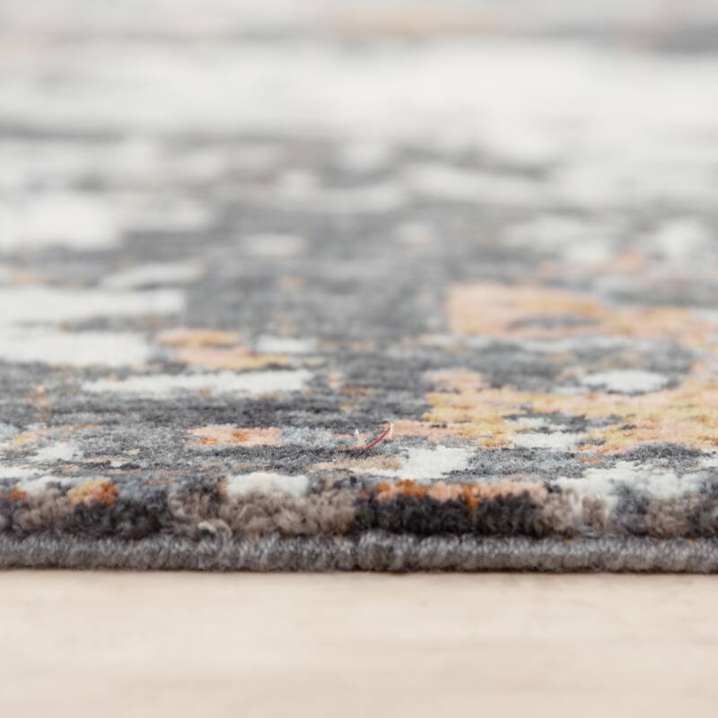 Alora Decor Lake Transitional Gray/Multi Recycled Polyester Area Rug