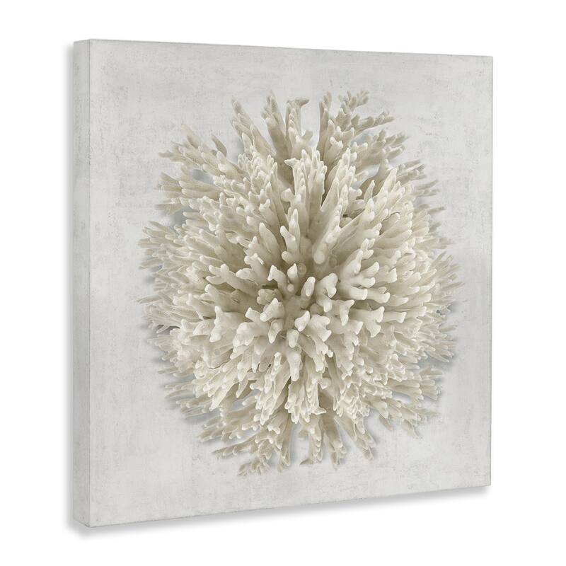 Stupell Natural Round Coral Canvas Wall Art Design By Caroline Kelly