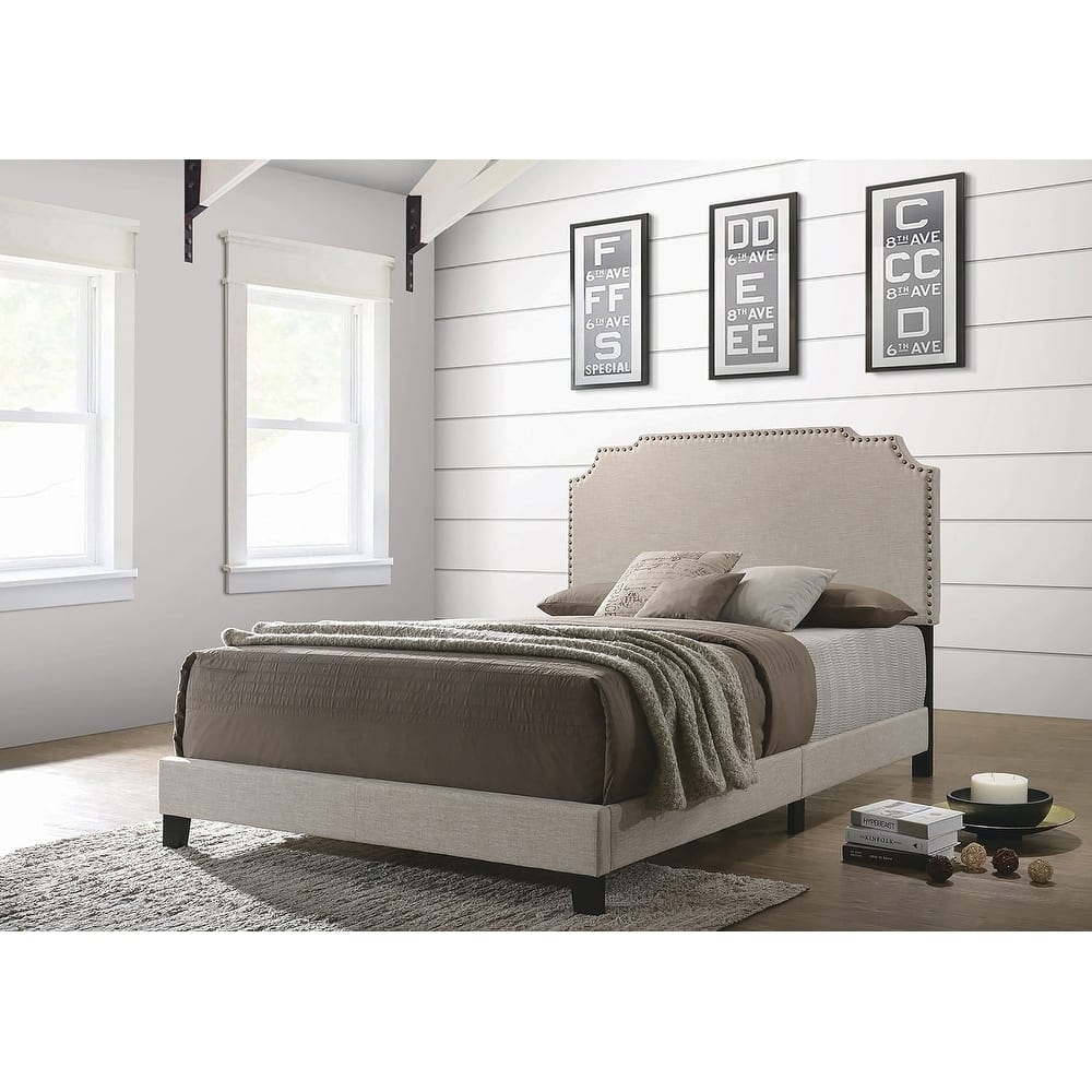 Biruinta Upholstered Panel Bed with Nailhead Trim