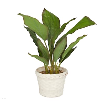 Faux Foliage Dieffenbachia Artificial Plant with Realistic Leaves and Rattan Pot - Green - Roche River Decor