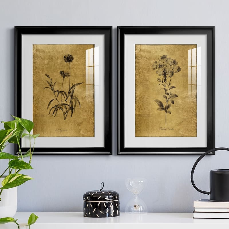 Gold Sketch Botanical I Premium Framed Print - Ready to Hang
