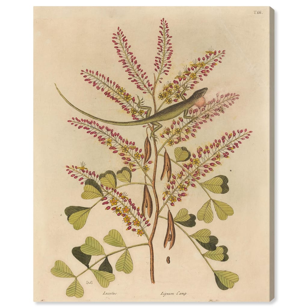 Green Lizard Canvas by Art Remedy, Gallery Wrapped