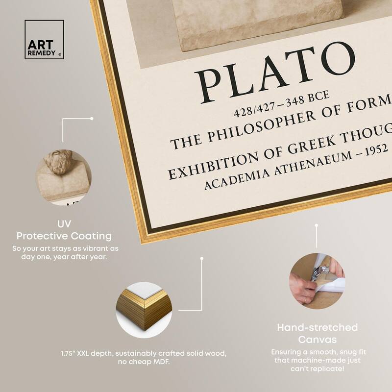 Philosopher of Forms Canvas by Art Remedy