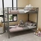preview thumbnail 4 of 13, Twin Over Twin Modern Convertible Metal Bunk Bed with Ladders and Guardrail Silver