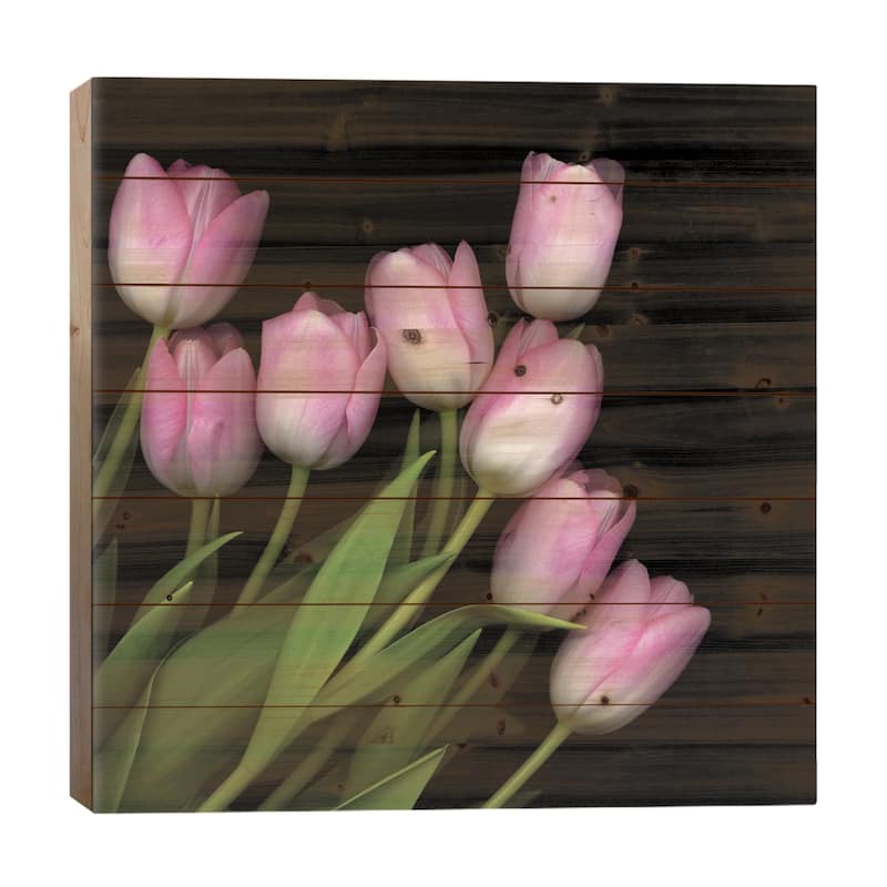 Soft Pastel Pink Print On Wood by Magda Indigo - Multi-Color - 26x26x1.5