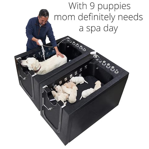 Infusion Microbubble Therapy Dog or Pet Walk-In Spa - 30"x60"