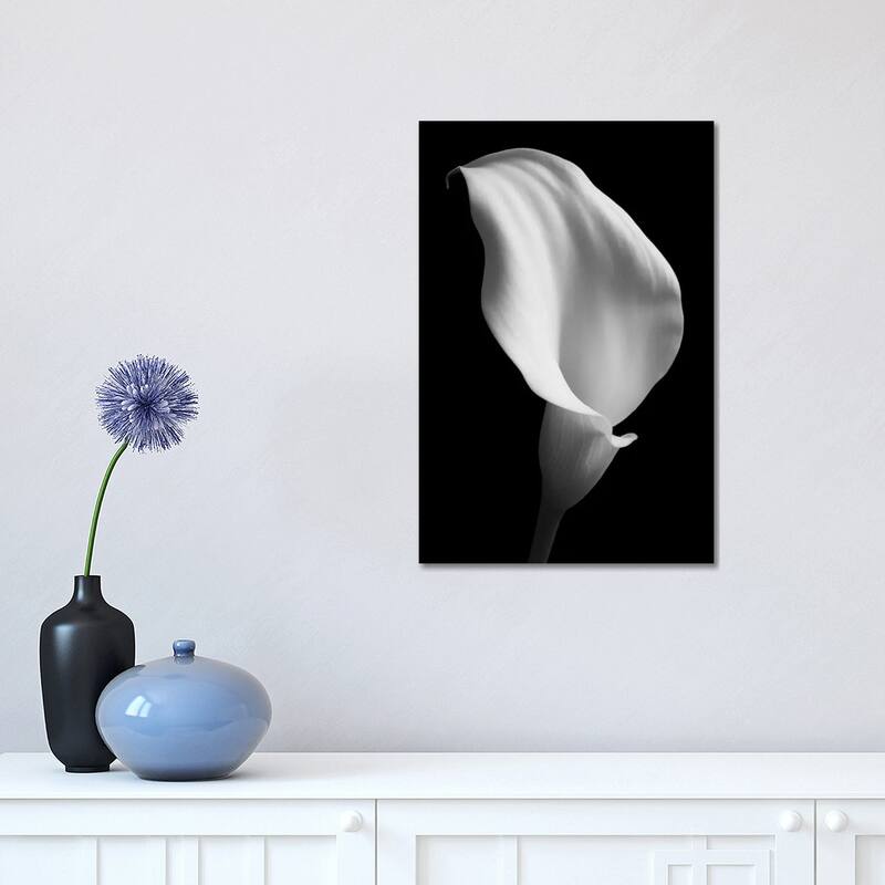 iCanvas "Lily On Black II" by Tom Quartermaine Canvas Print - 18x12x1.5