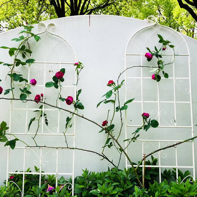 Anmytek 4 Pack Rustproof Metal Garden Trellis 71 Inch Cream White Outdoor Flower Plant Support for Climbing Vines