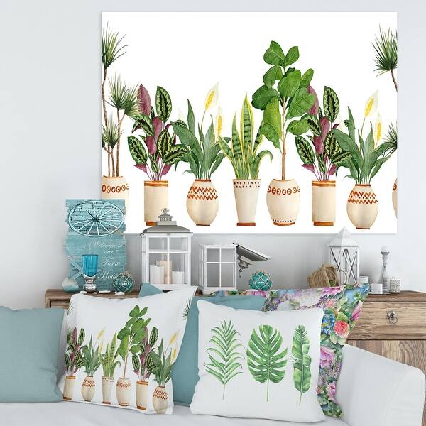 Designart "Trio of Houseplants Sanseviera Snake Plant" Farmhouse Canvas Wall  Art Print - Bed Bath & Beyond - 33316484