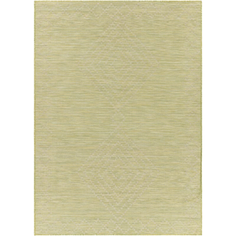 Artistic Weavers Benli Moroccan Tribal Outdoor Area Rug