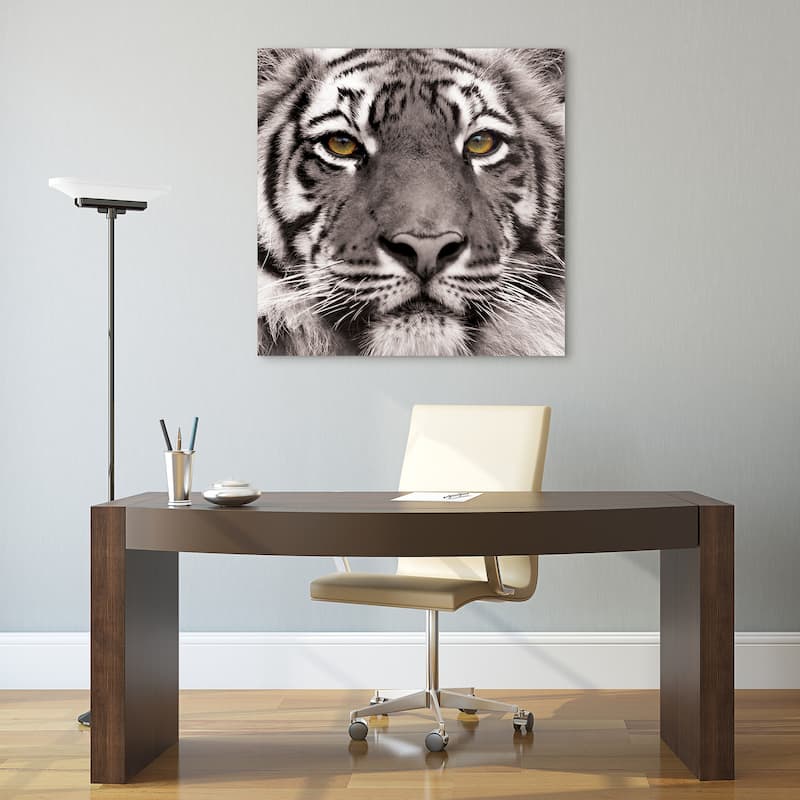 "Eye of the Tiger" Frameless Free Floating Tempered Glass Panel Graphic Wall Art